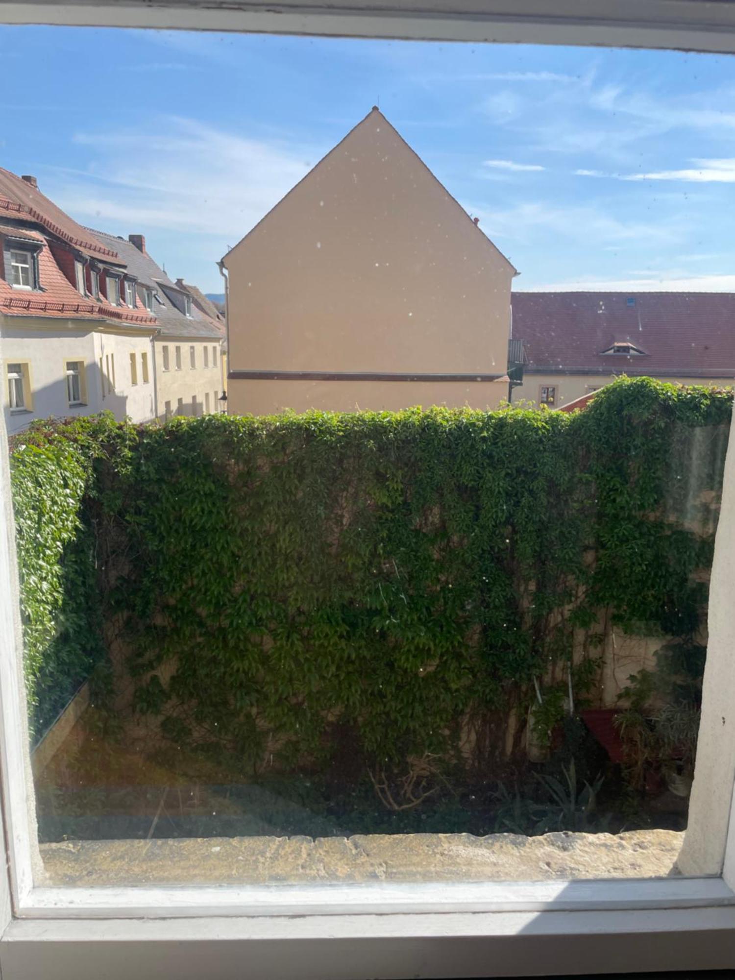 Apartment Wohnen Mit Loft Charakter Im Zentrum