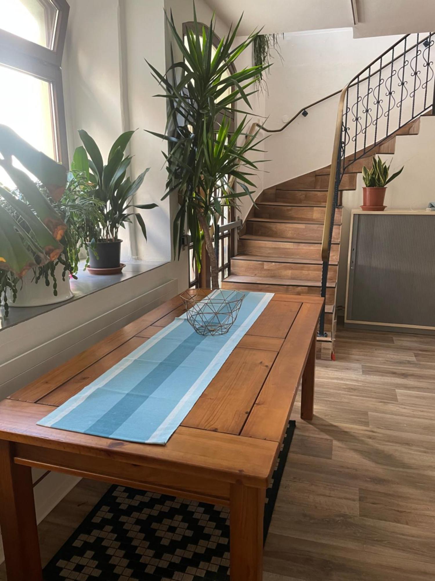 Wohnen Mit Loft Charakter Im Zentrum Zittau