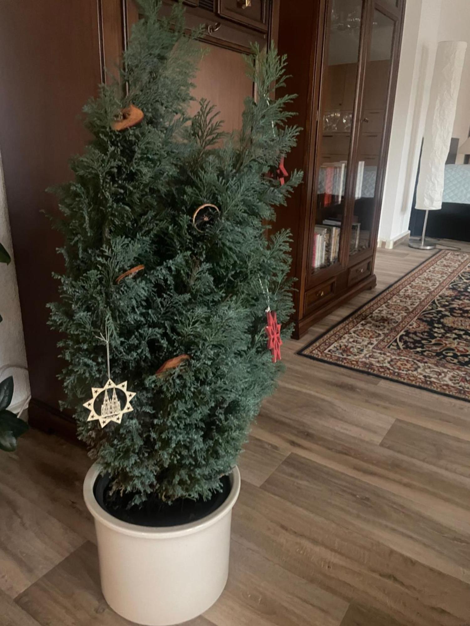 Apartment Wohnen Mit Loft Charakter Im Zentrum